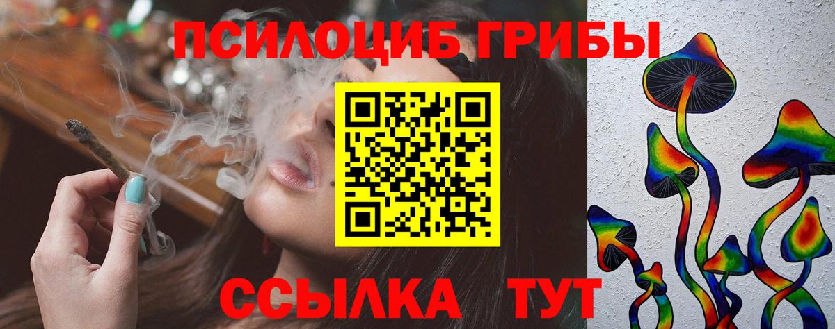 Ефремов  купить наркоту  Вход с VPN  Галлюциногенные грибы ЛСД 
