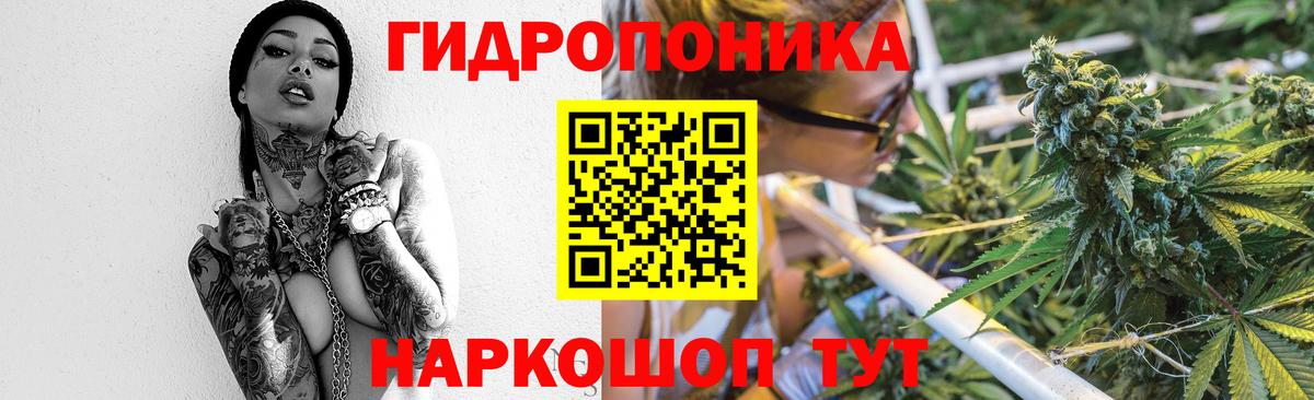 МАРИХУАНА план Ефремов
